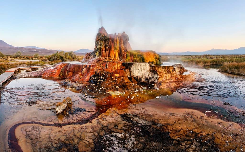 Thermophilic Algae Colors