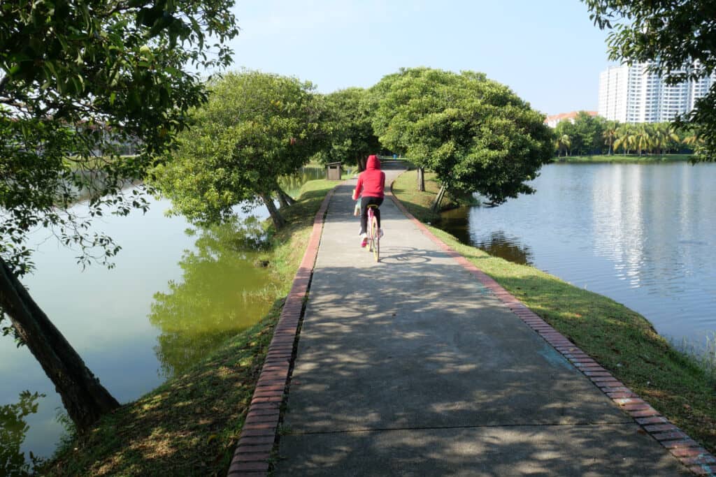 Expansive Jogging and Walking Track