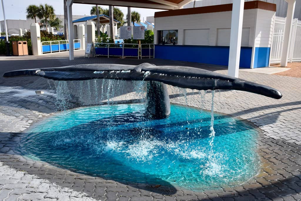 Texas State Aquarium