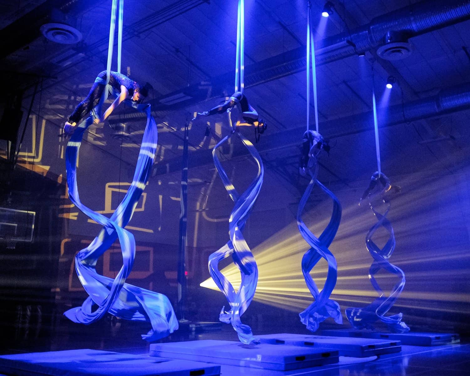 Student Art Exhibitions