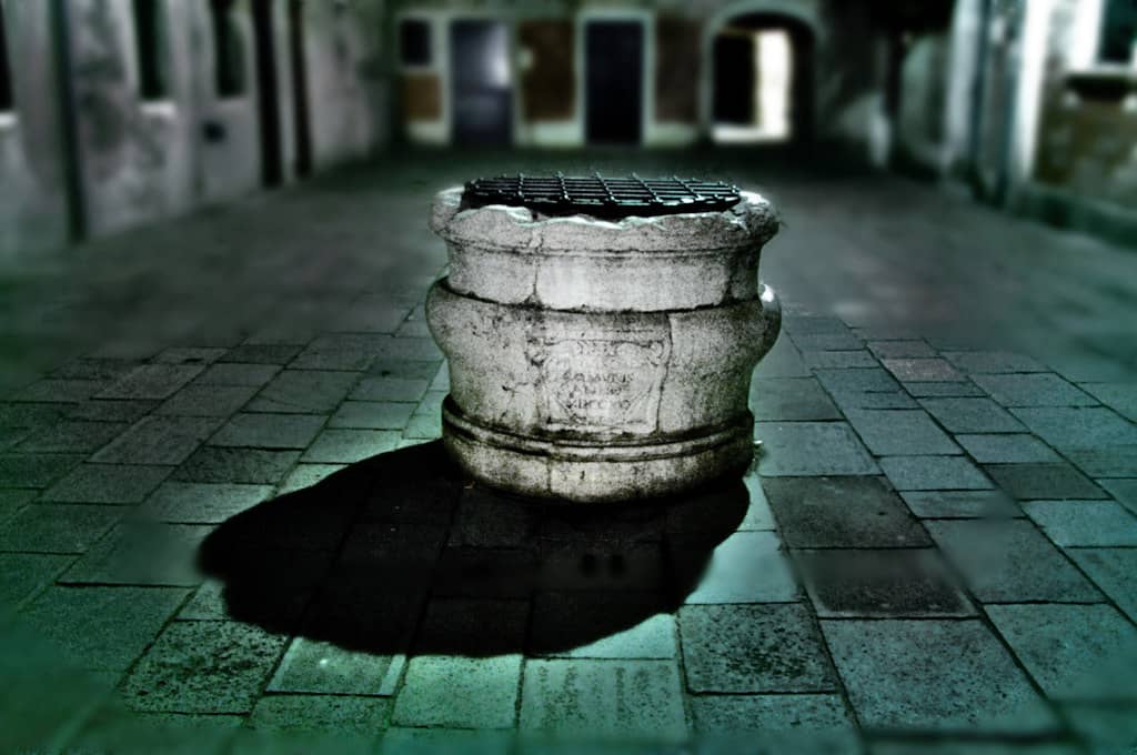 Freshly Grilled Seafood