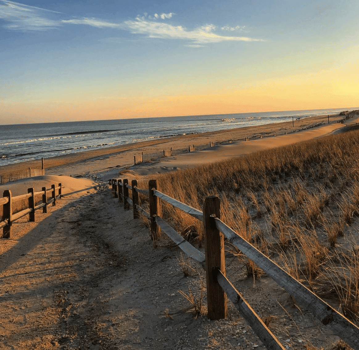Marina Farmers Market