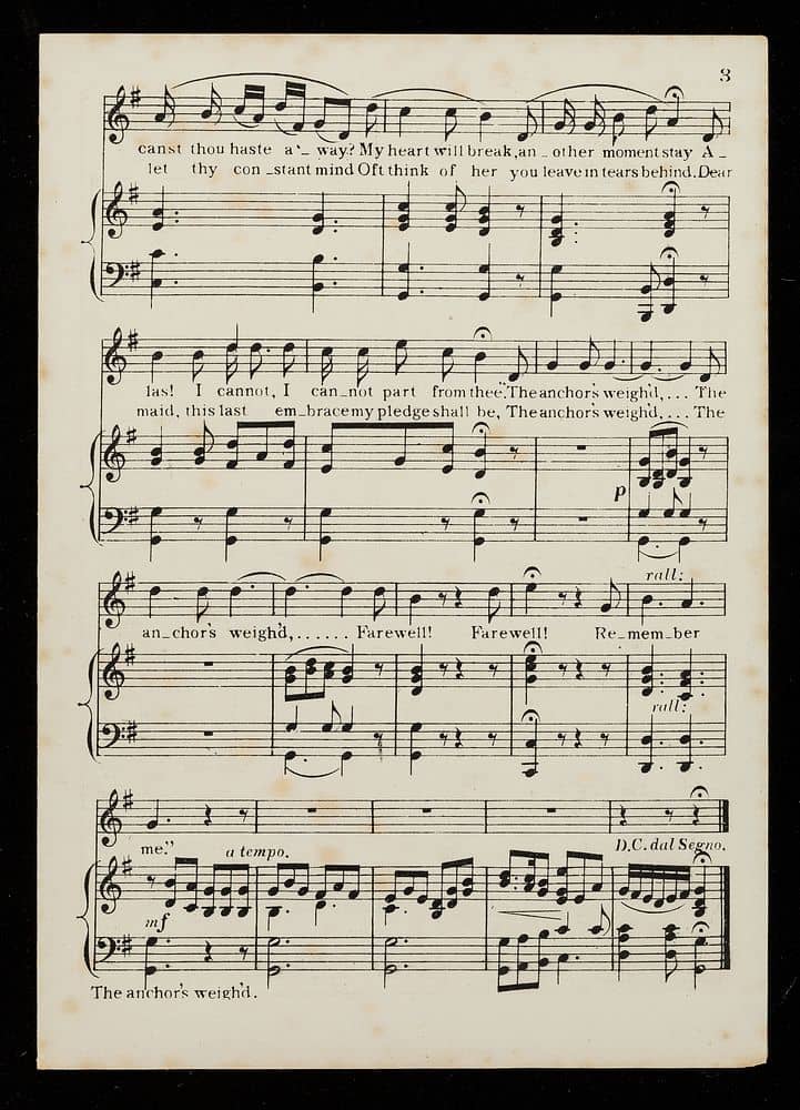 Live Music & Community Vibe