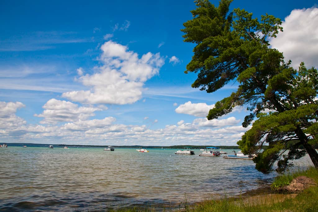 South Higgins Lake State Park