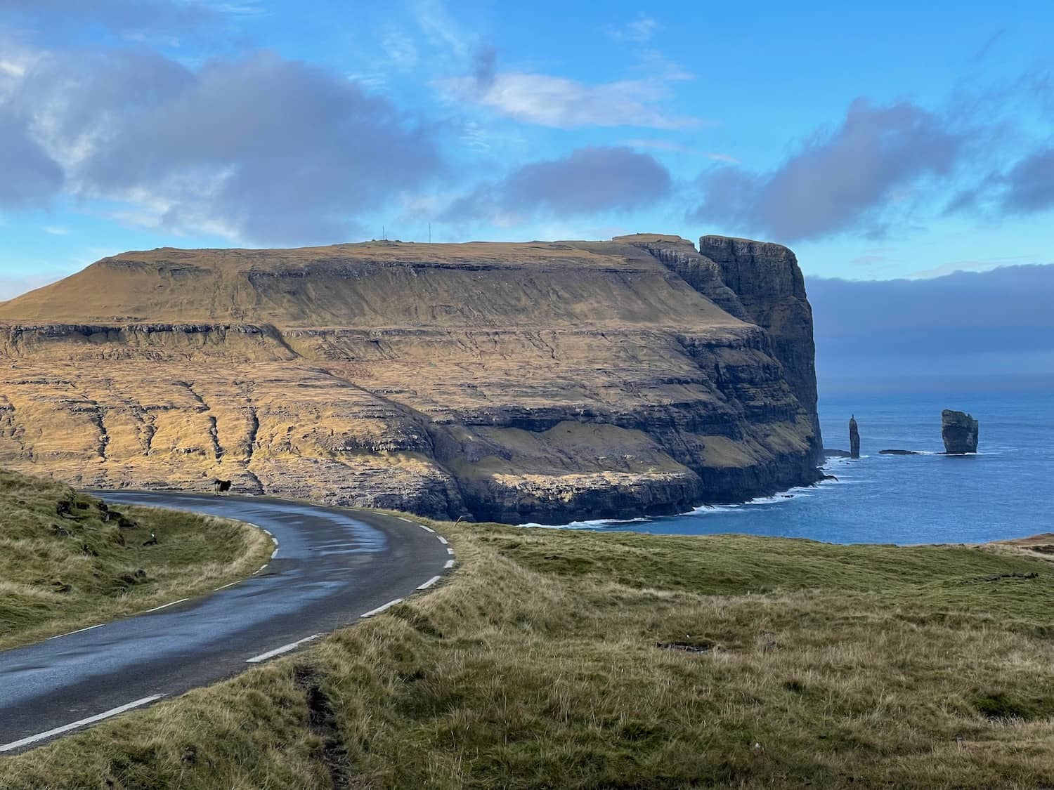 Coastal Drive Experience