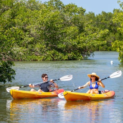 Kayaking & Paddleboarding