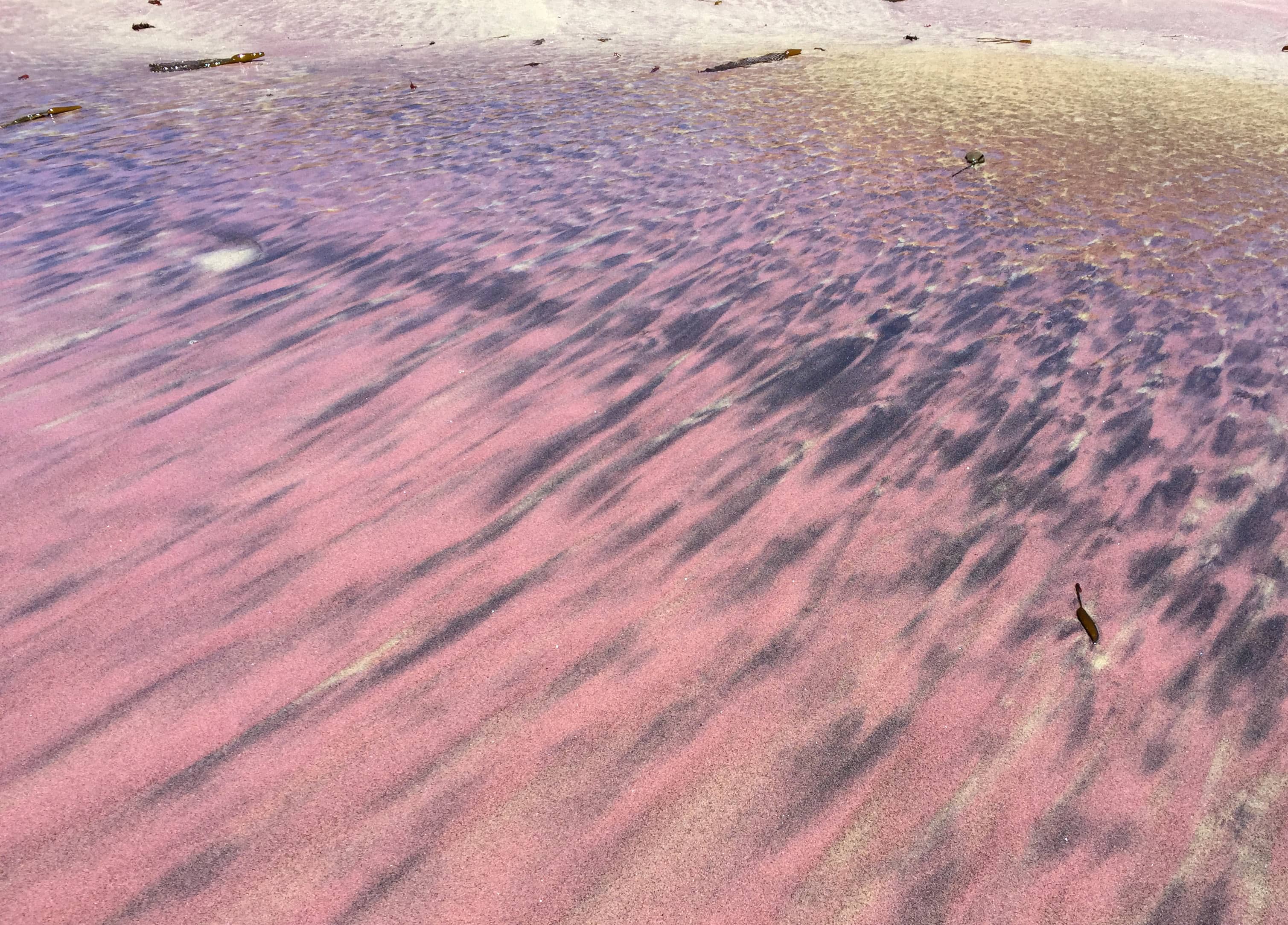 Purple Sand Beach