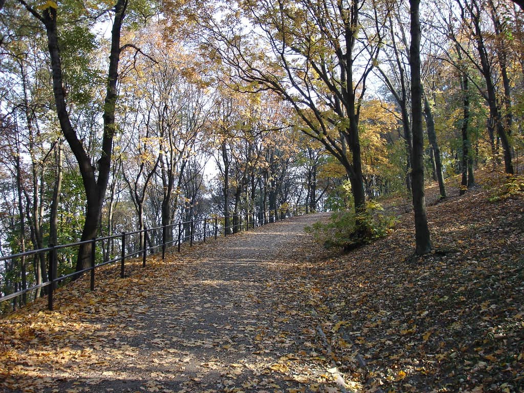 Gellért Hill Pathways