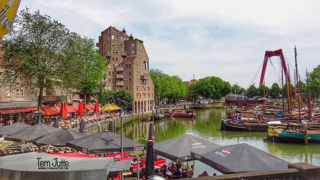 Delicious Dining Experience