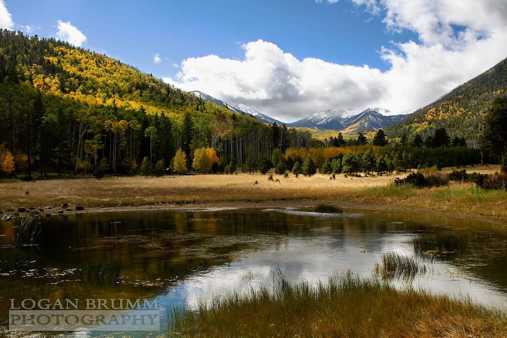 Lockett Meadow