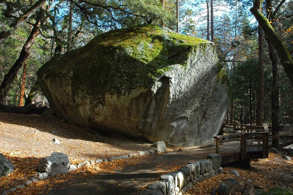 Wooded Walking Trails