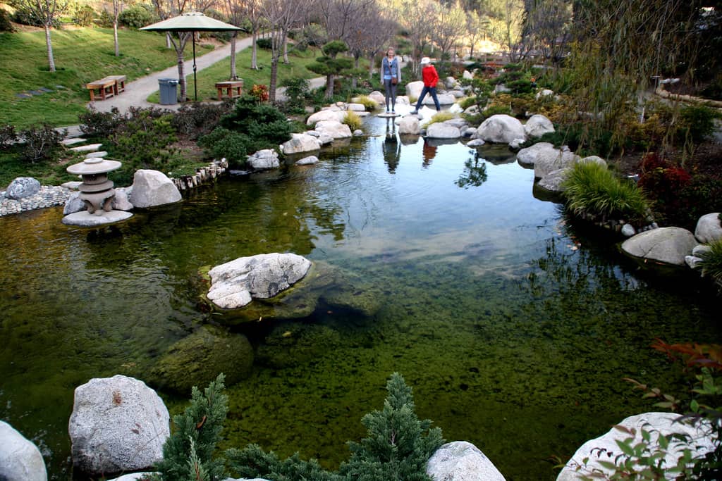 Zen Meditation Areas