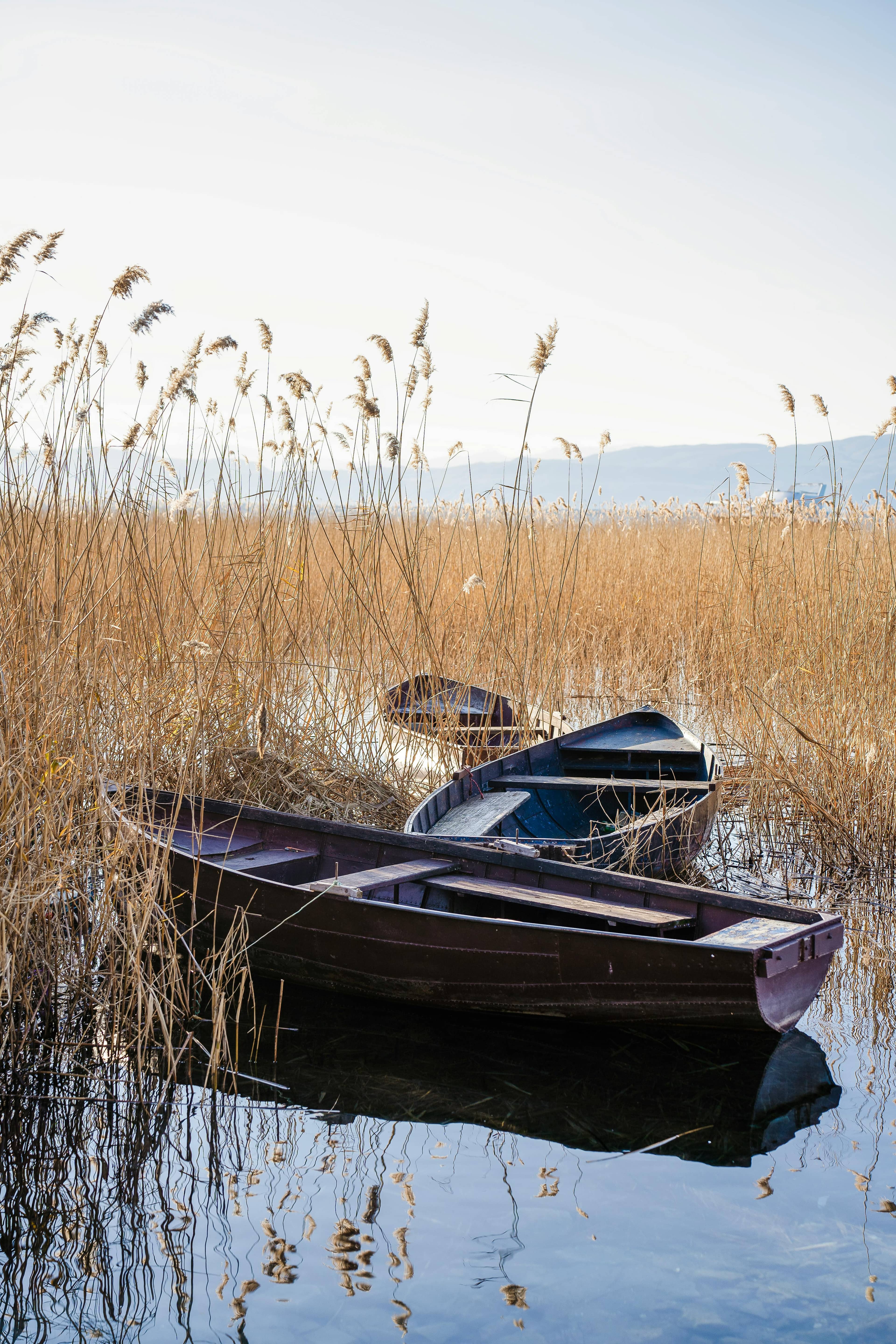 Boats on the Shore