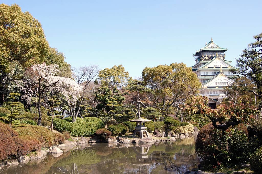 Osaka Castle as a Backdrop