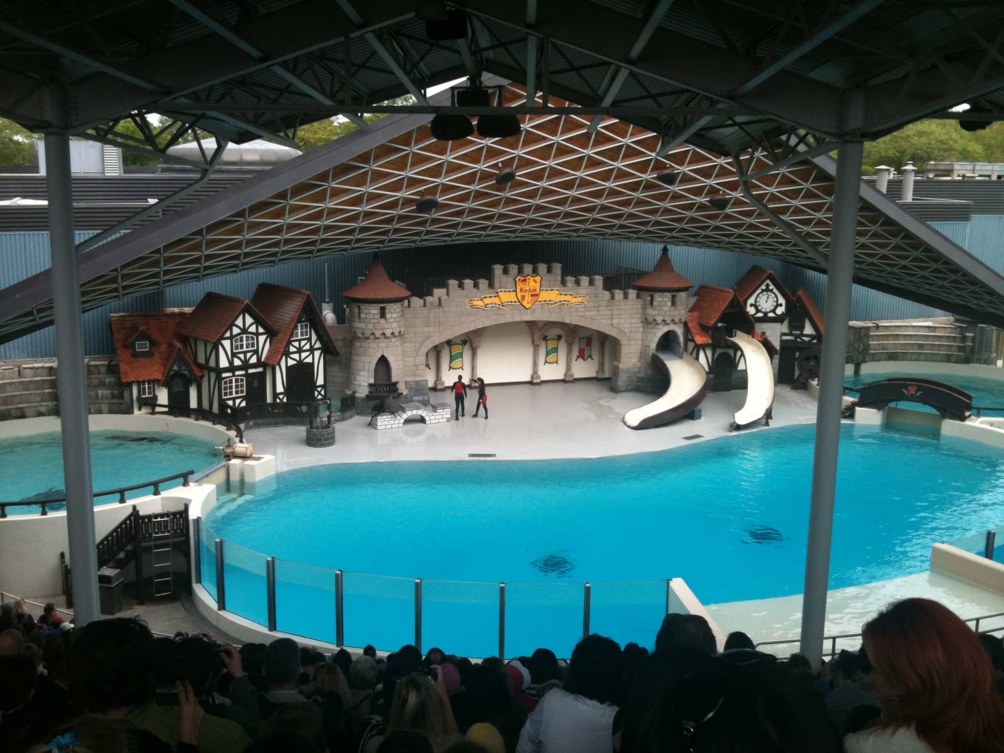 Dolphin & Walrus Show