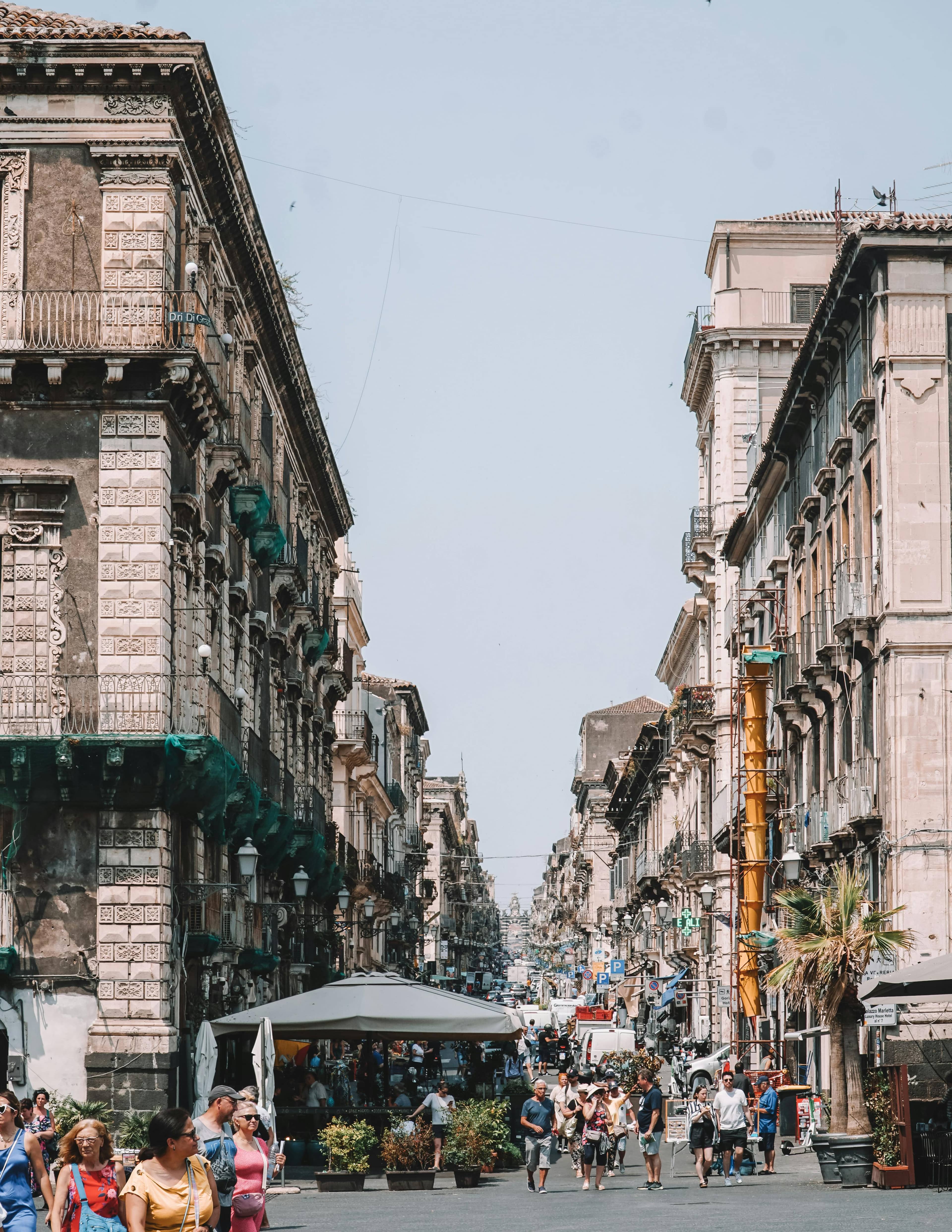 Shopping Extravaganza