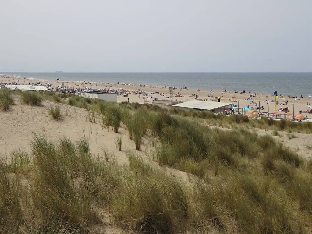 Tranquil Dune Landscapes