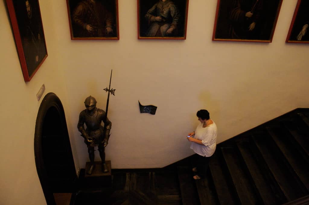 Curated Thematic Displays