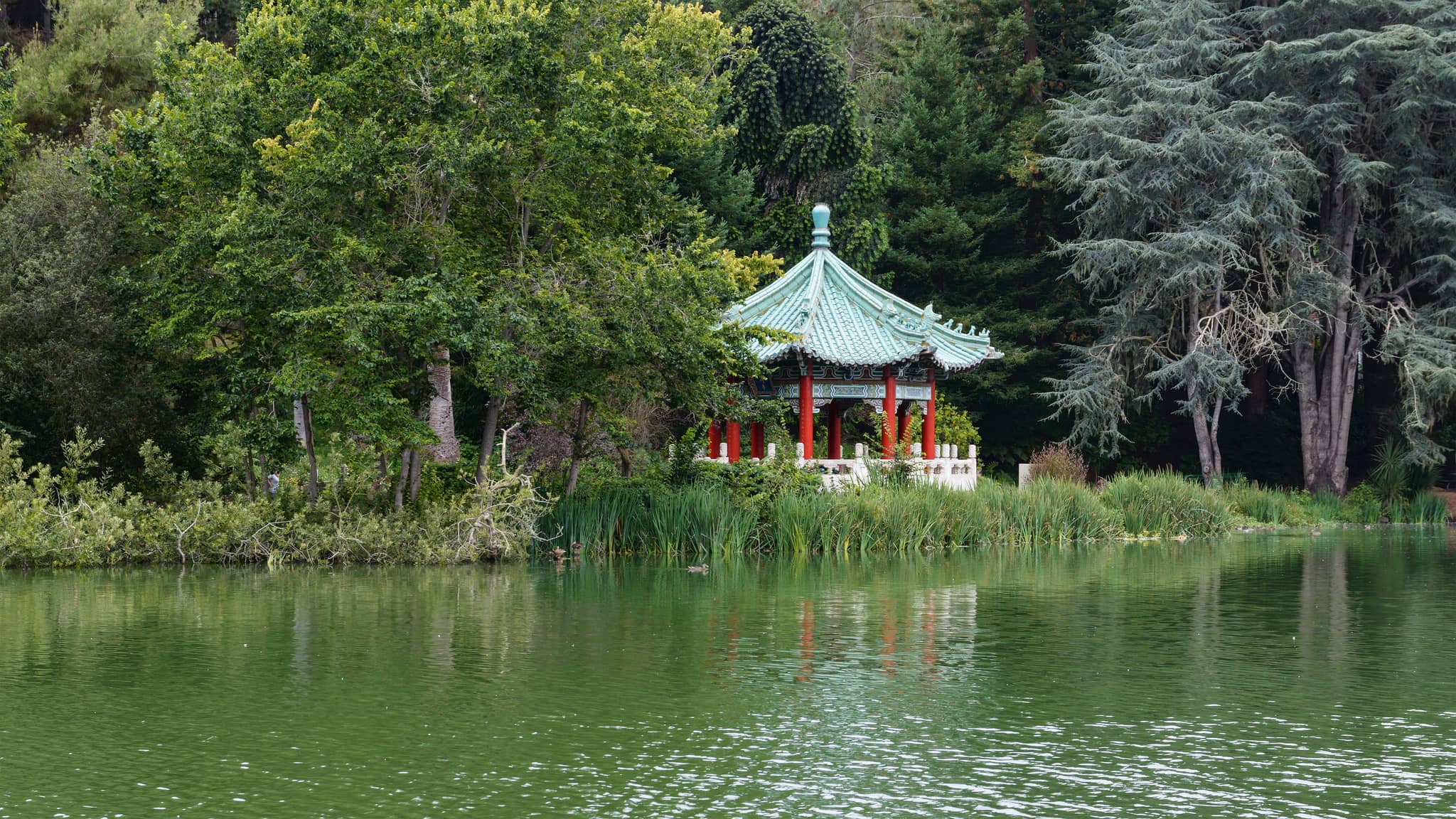 Stow Lake & Strawberry Hill