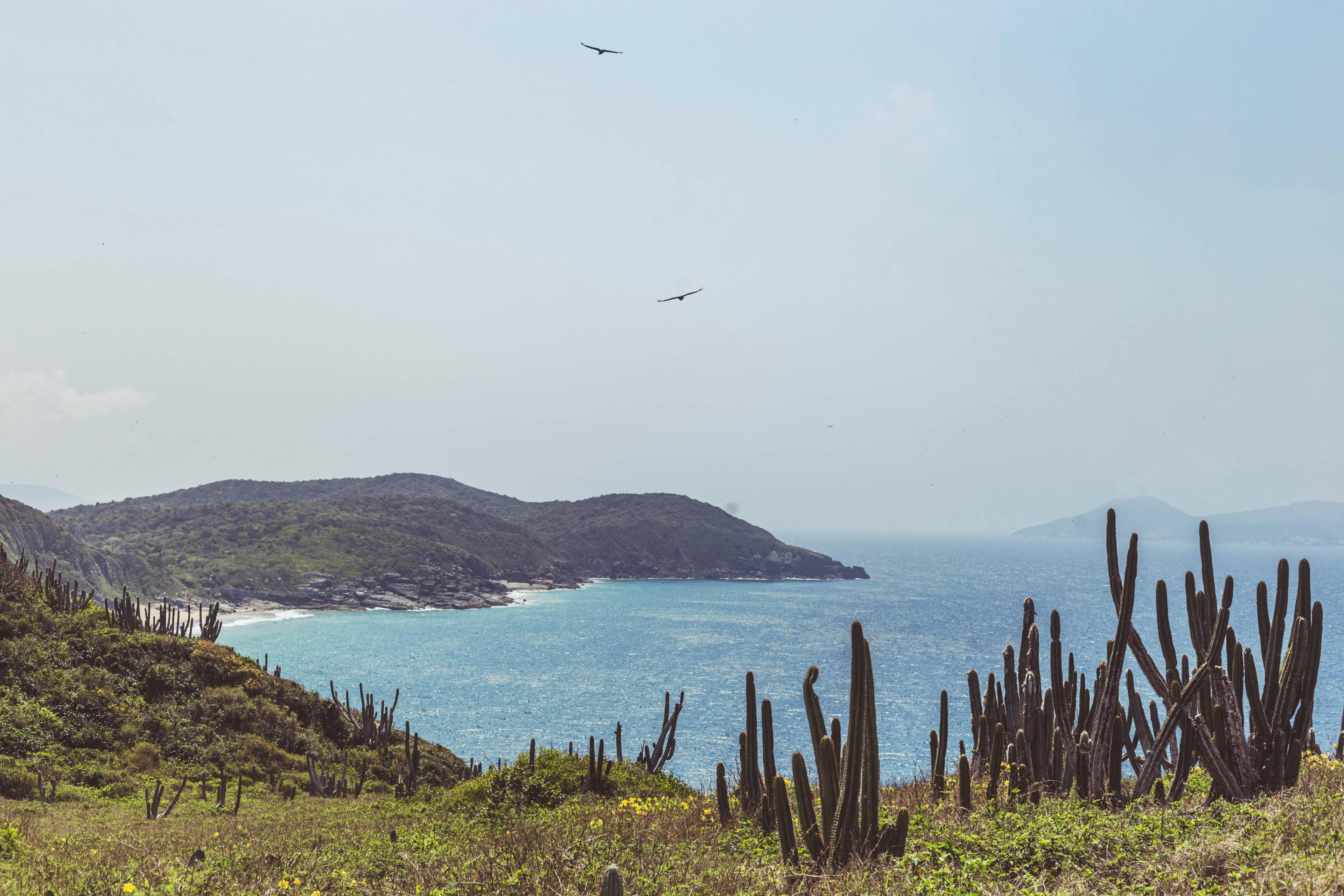 Dramatic Coastal Landscape