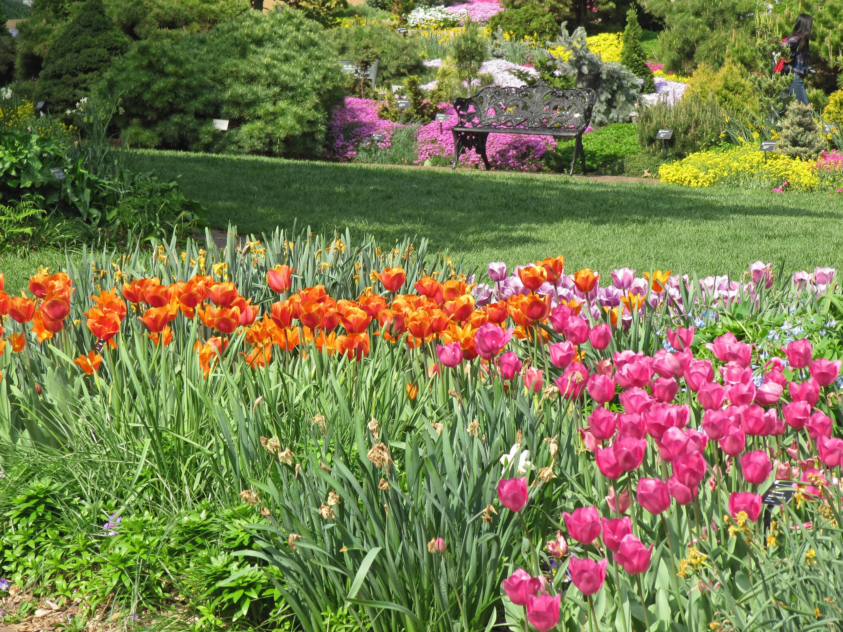 Arboretum & Rose Gardens