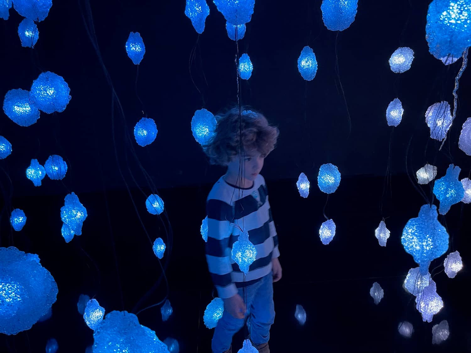 Interactive Art Installations