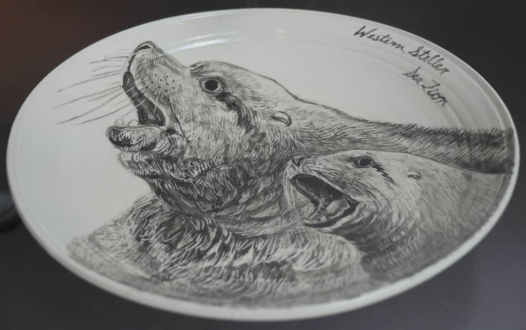 Educational Insights