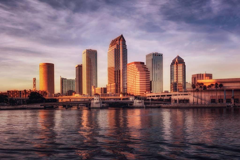 Davis Islands Waterfront