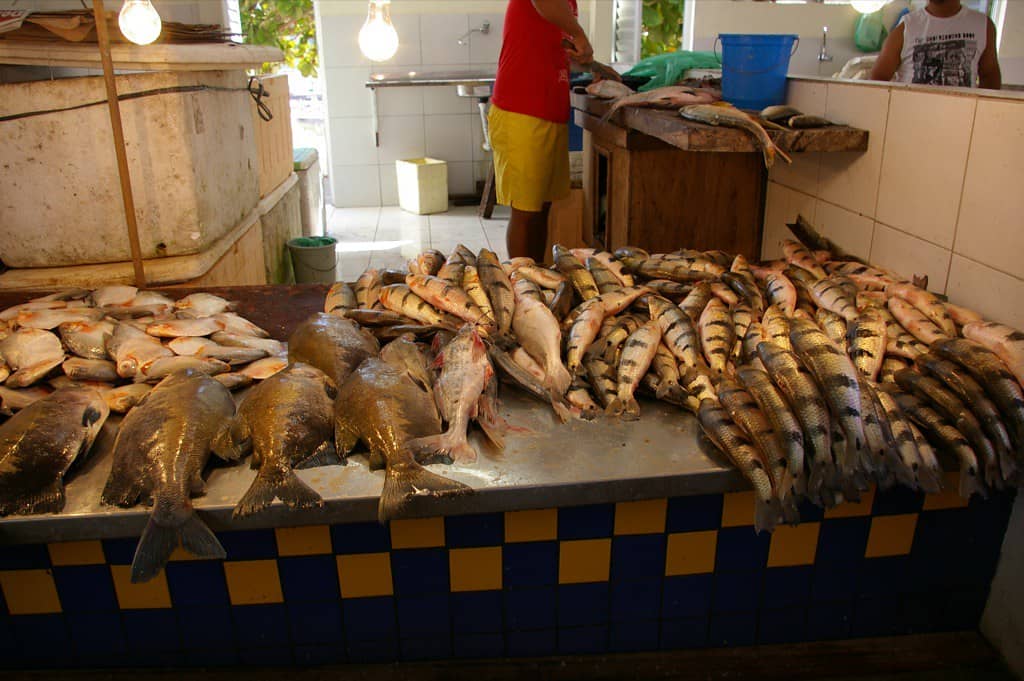 World's Largest Fish Market