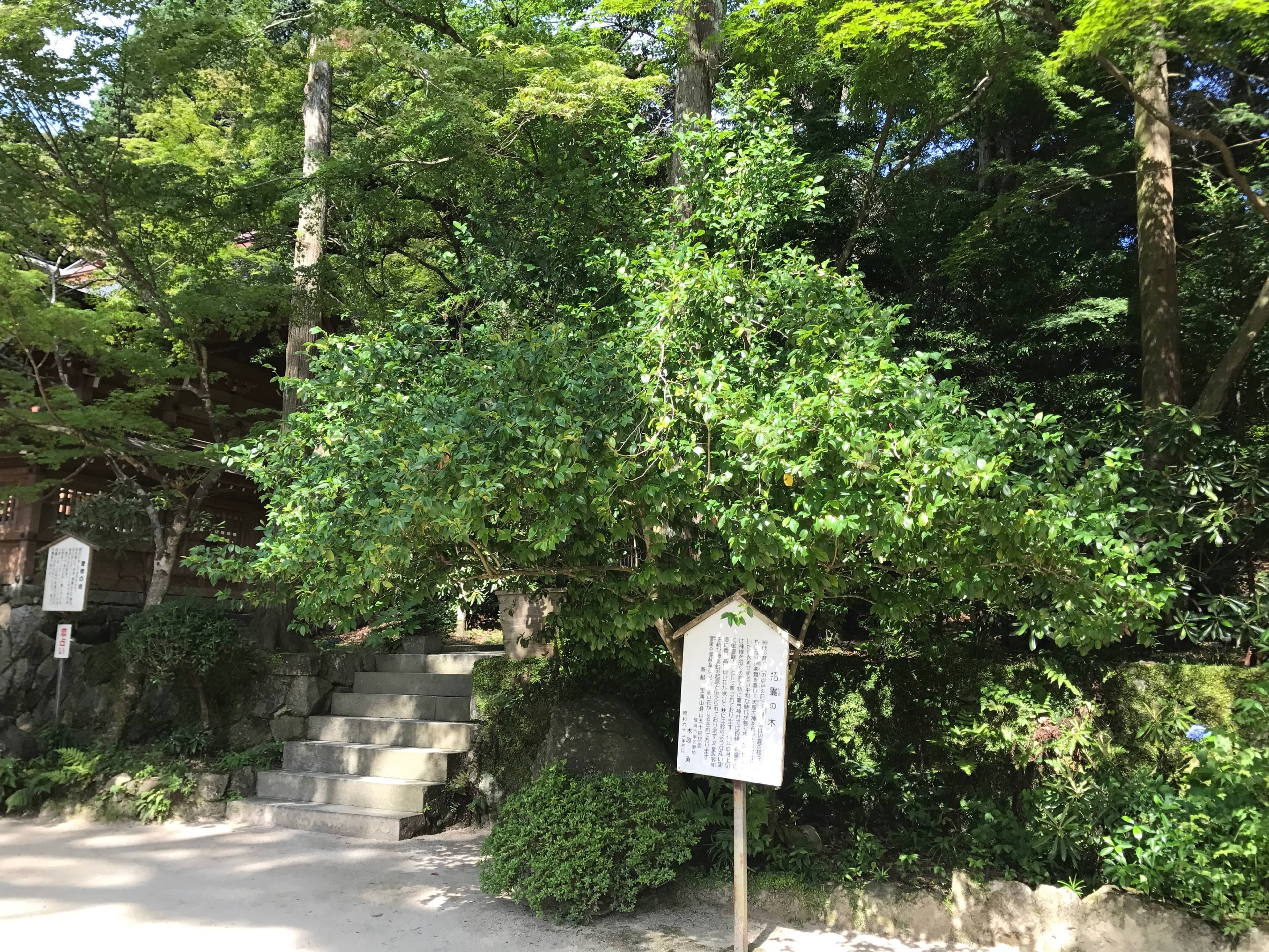 Tranquil Natural Setting