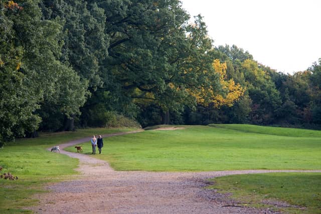 Hampstead Heath Exploration