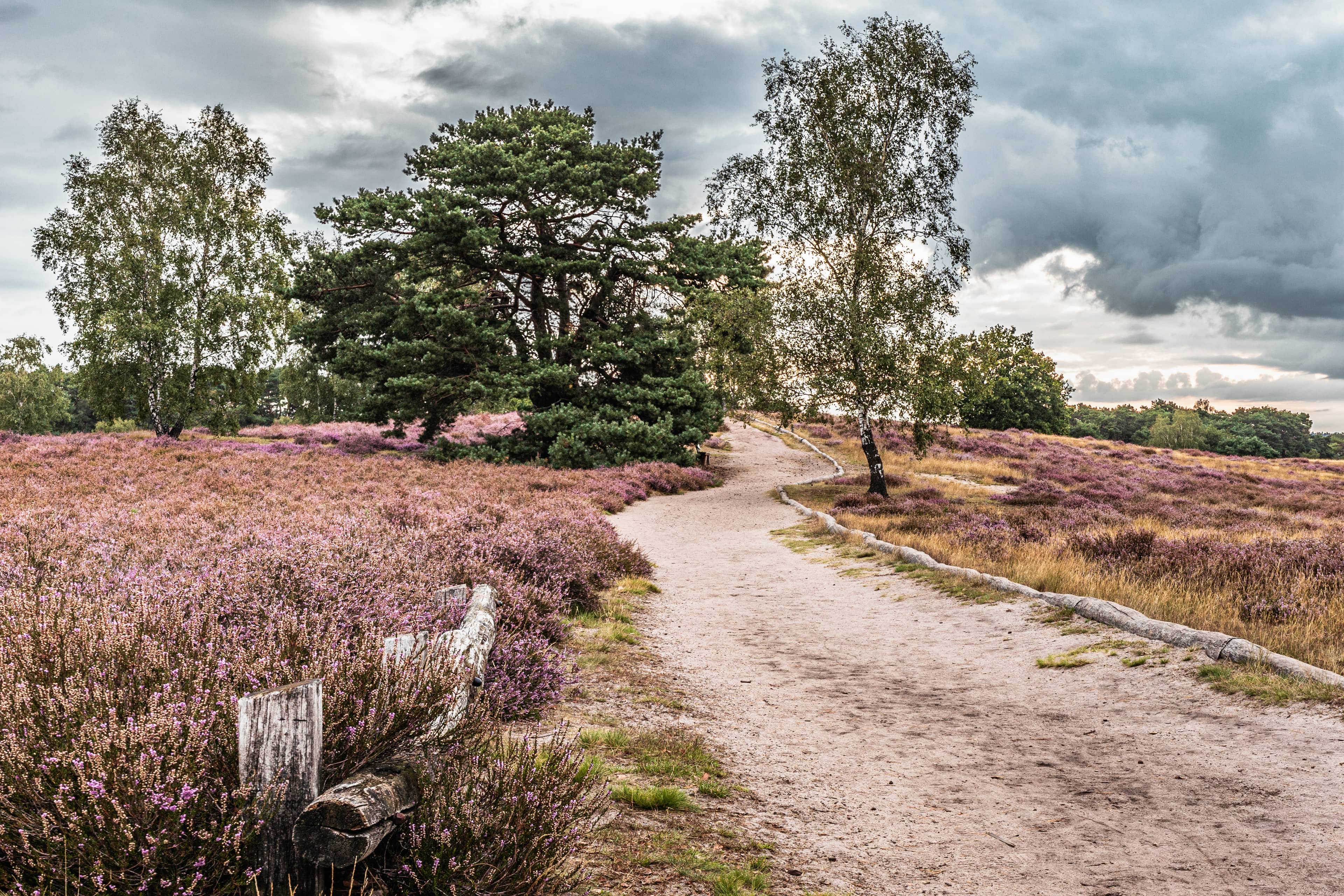 Nature and Recreation Areas