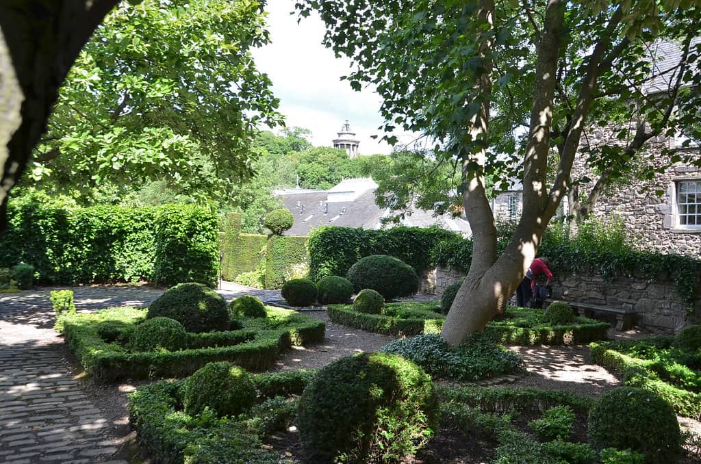 Secluded Shrubbery & Trees