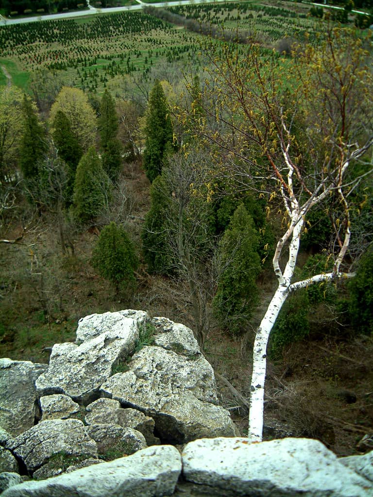 Challenging Rock Climbing