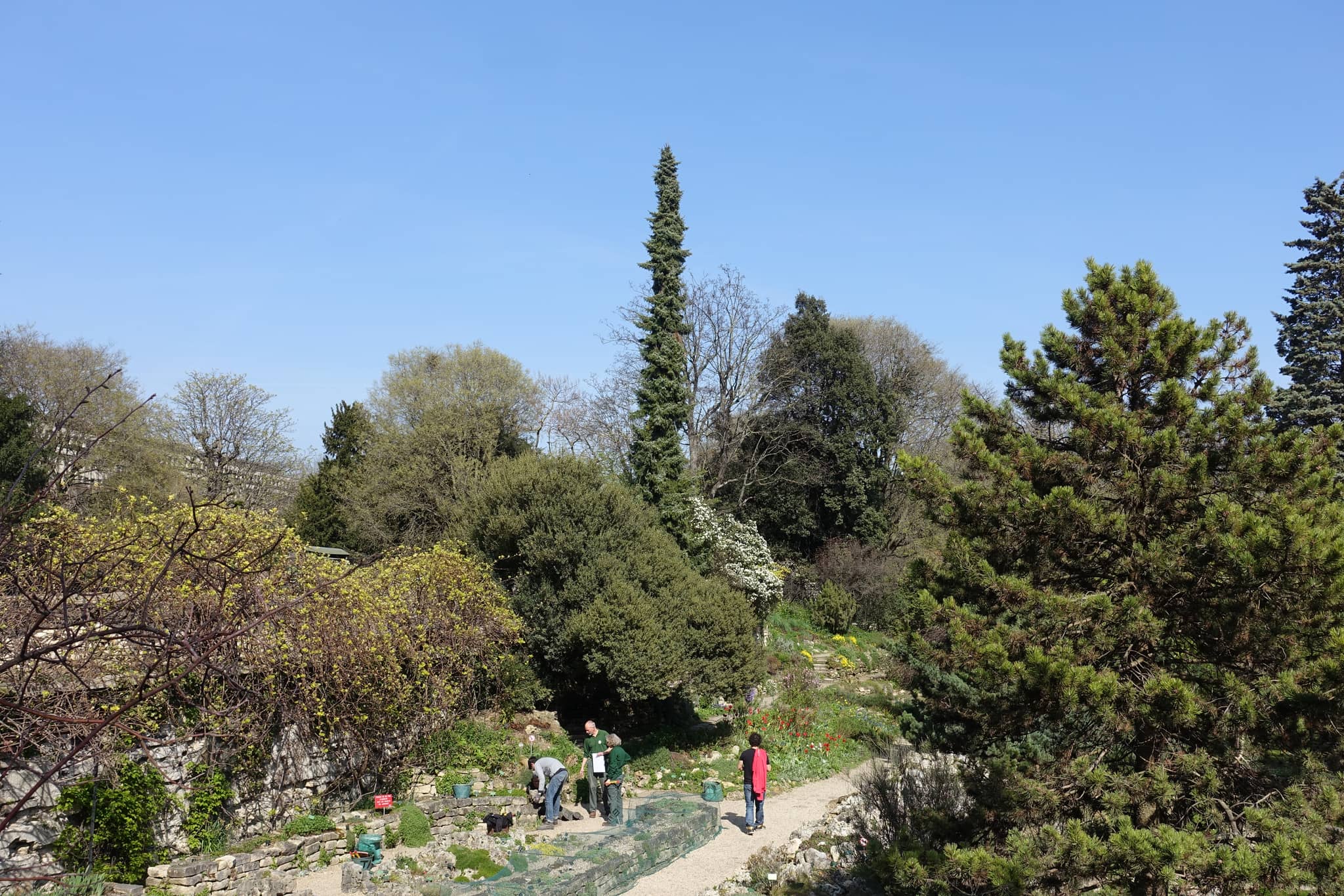 Alpine Garden