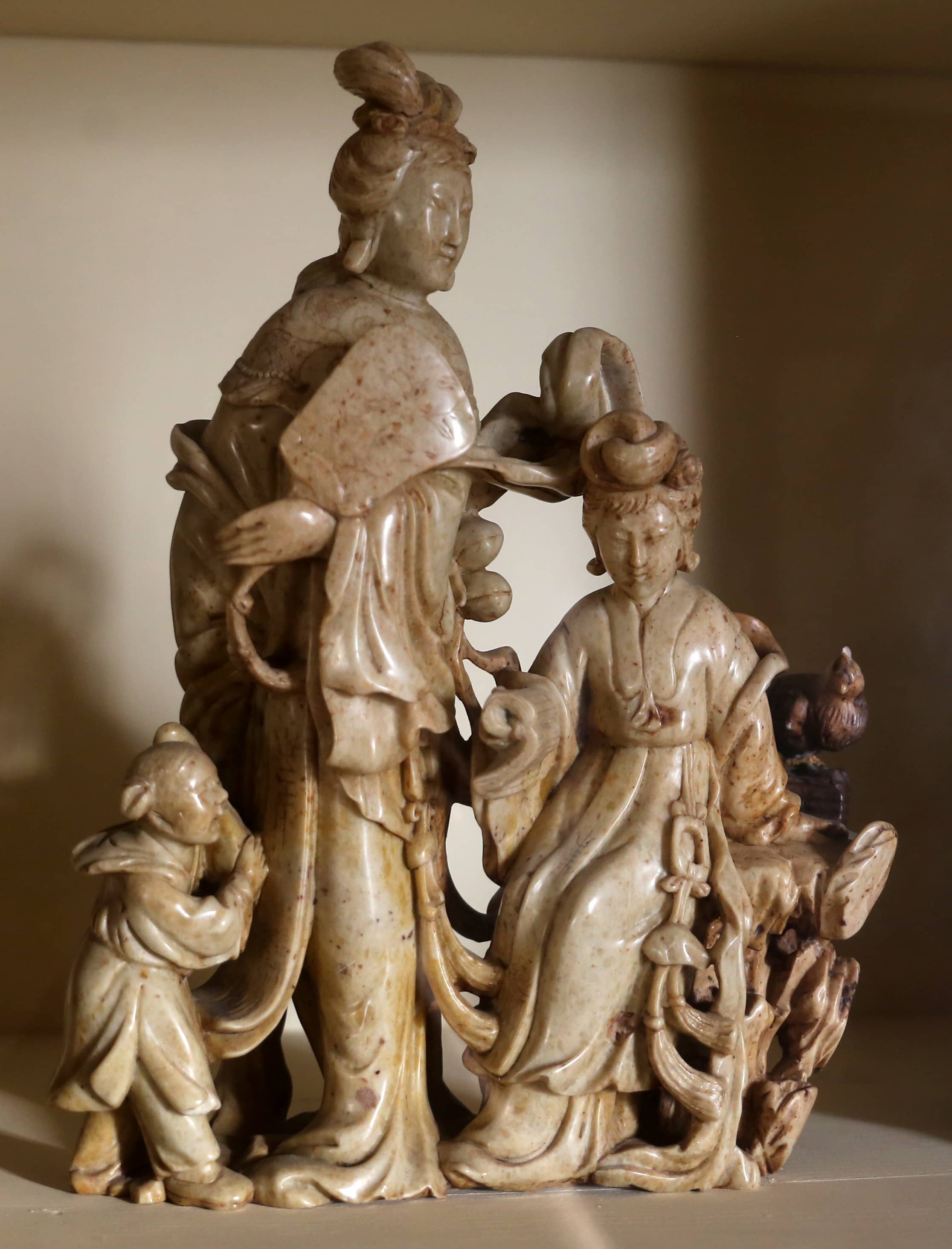 Natural History Specimens