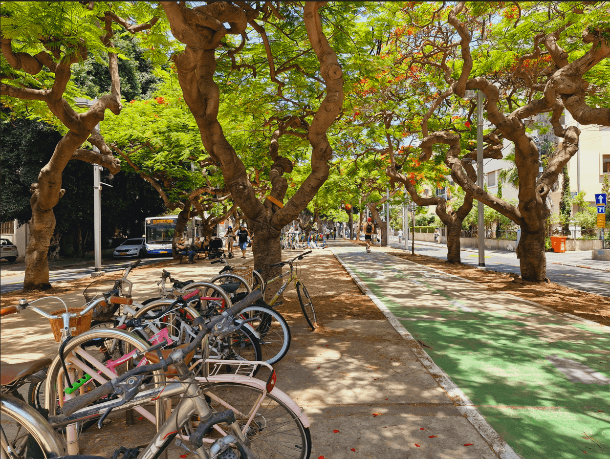 Central Green Walkway