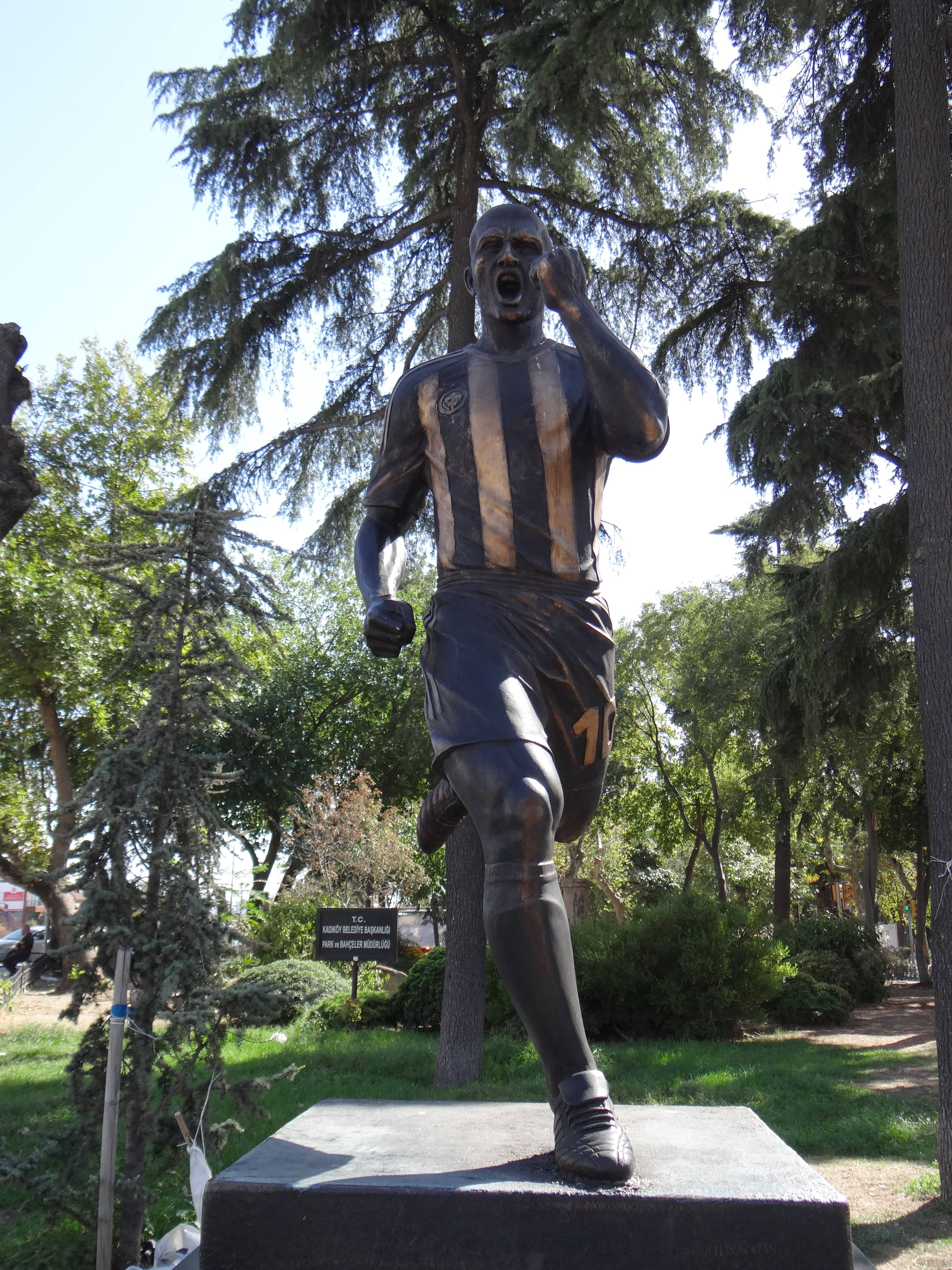 Green Spaces and Gardens