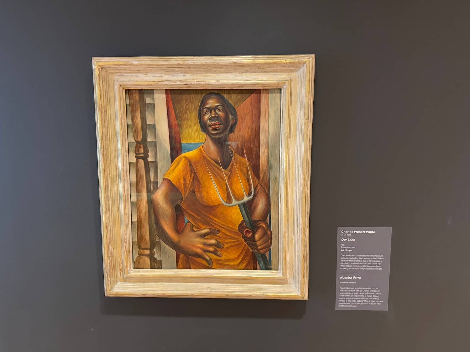 Rotating Local Art Exhibits