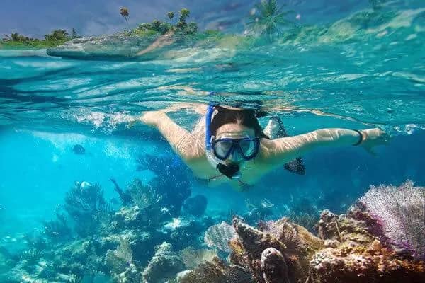 Pristine Coral Reefs