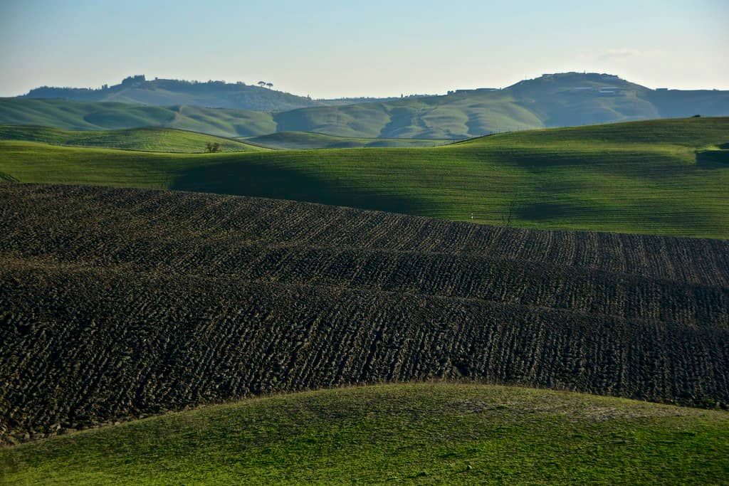 Crete Senesi Landscape