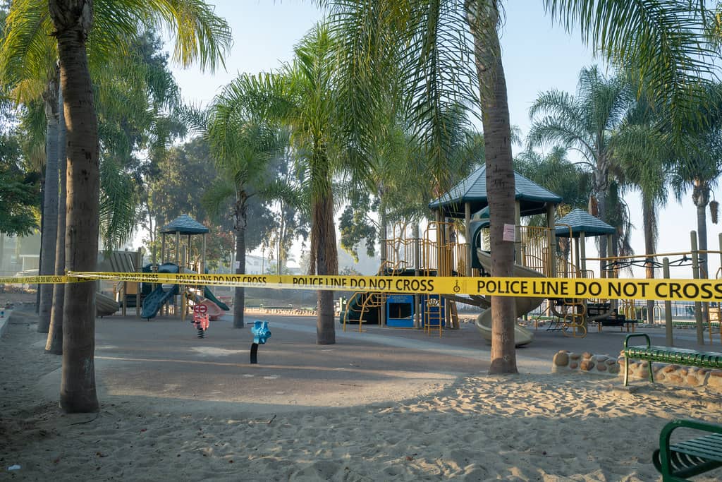 Tropical Paradise Vibe