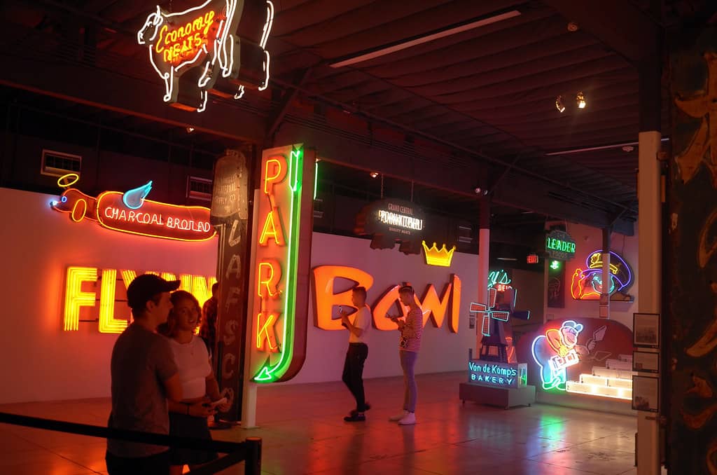 Neon Art Workshops