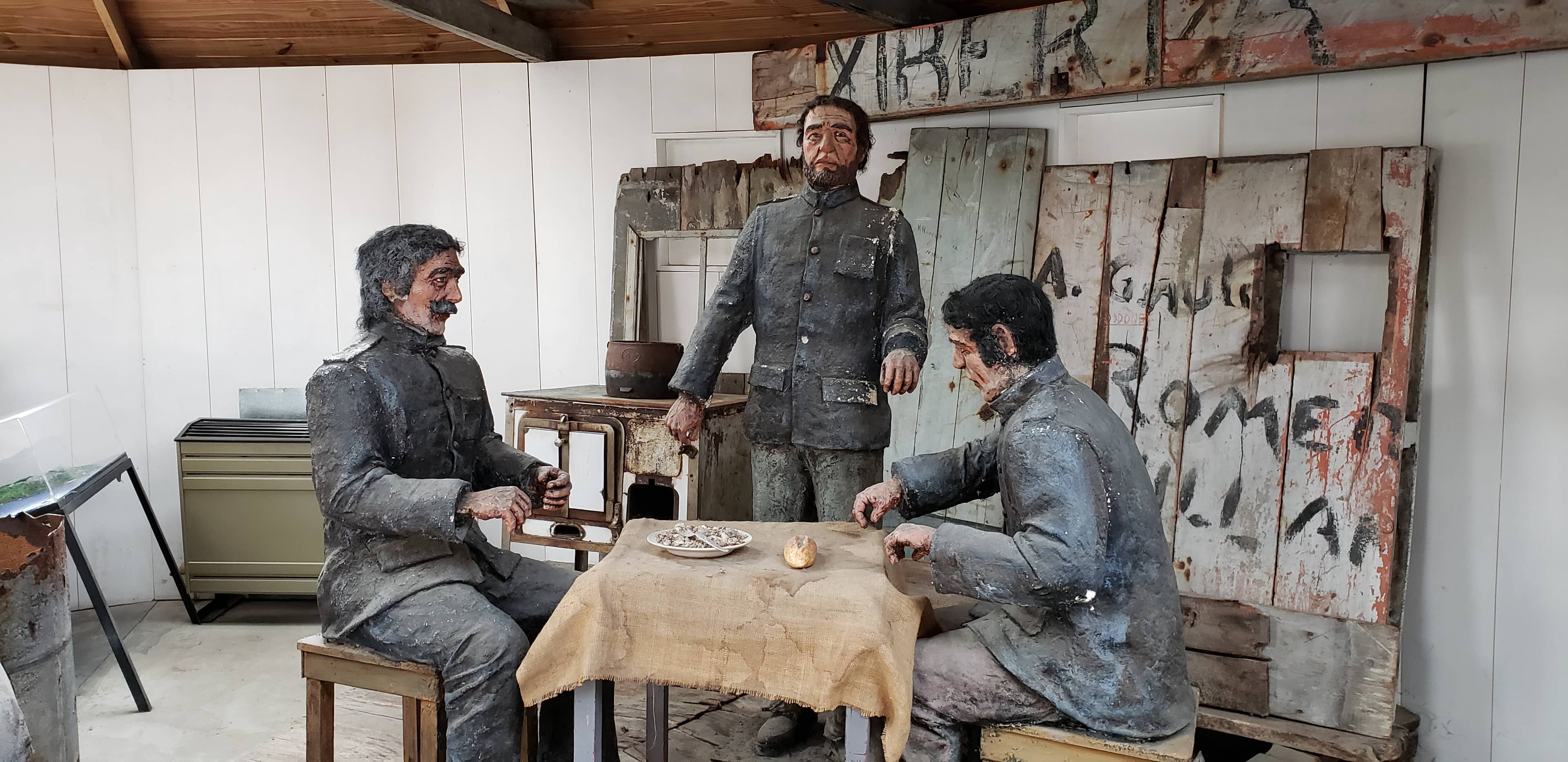 Local Wildlife & Indigenous Culture