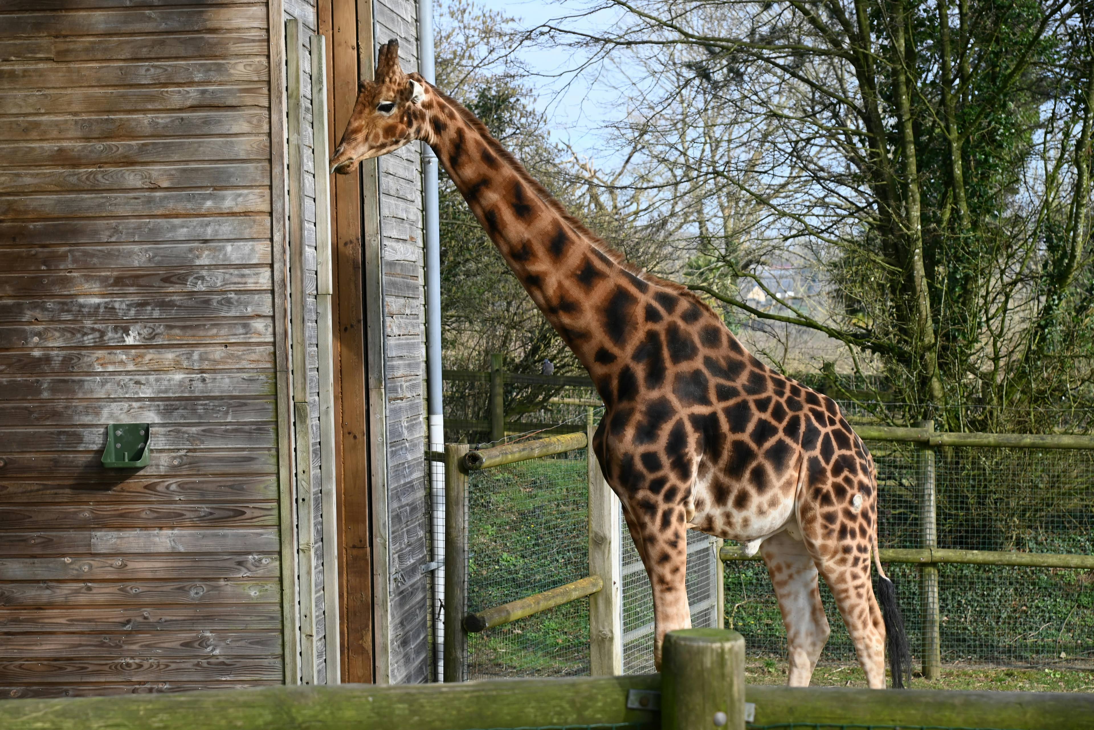 Lush Park-like Setting