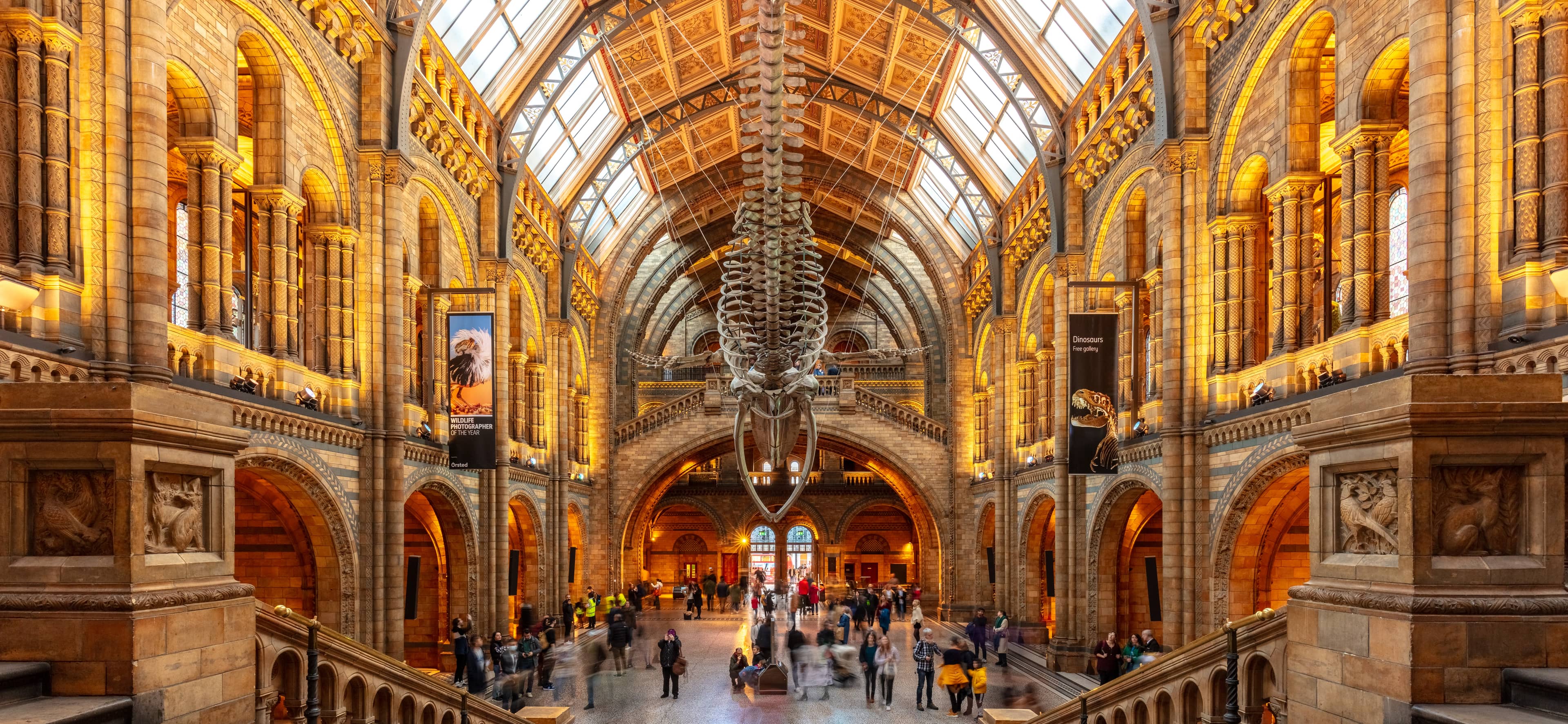 Plastic Pollution Exhibit