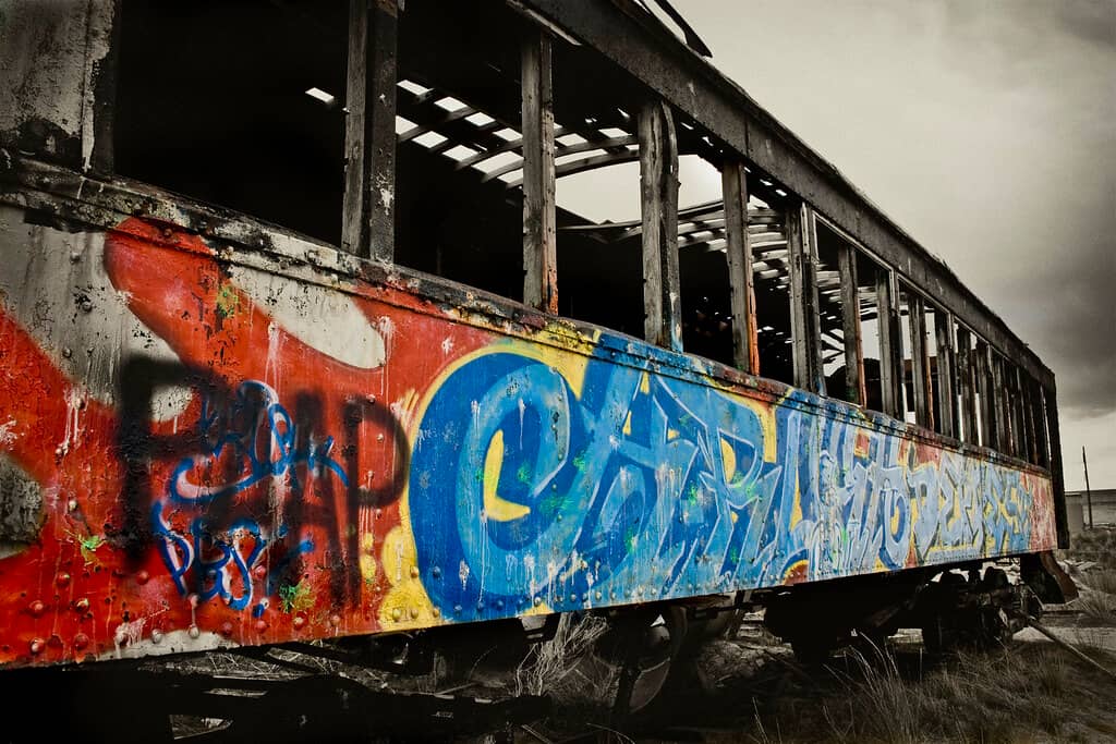 Local Artist Showcases