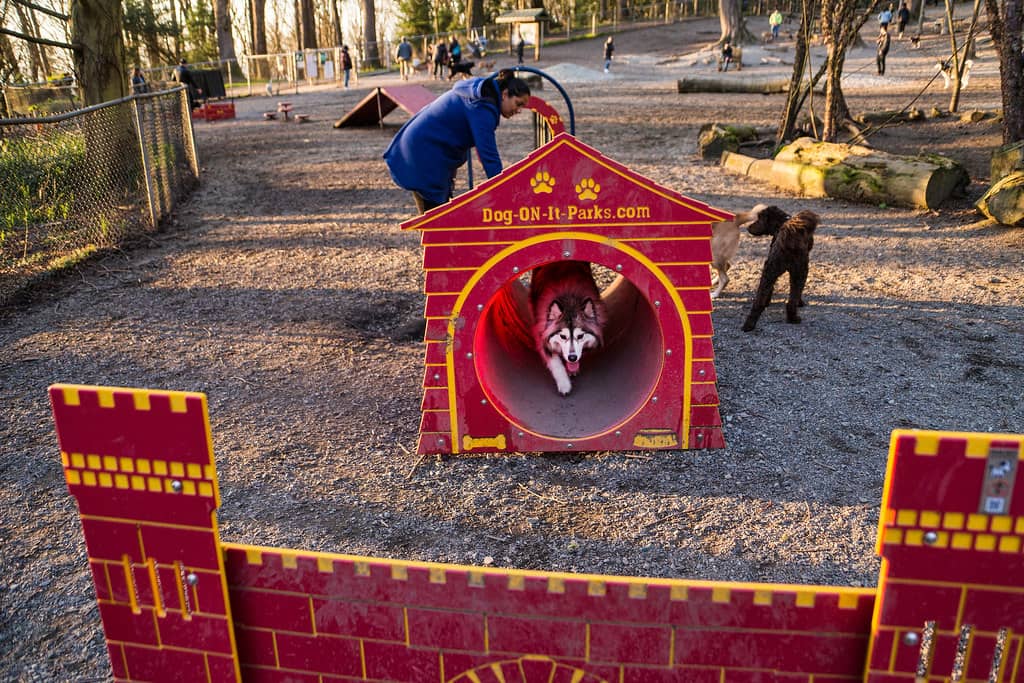 Dog Park