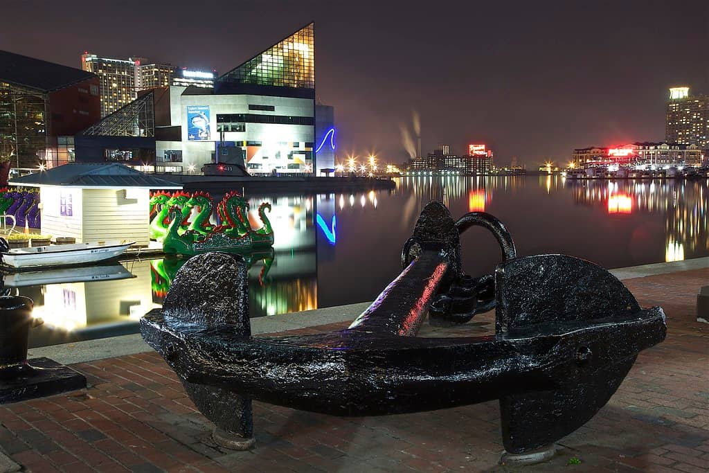 Children's Discovery Area