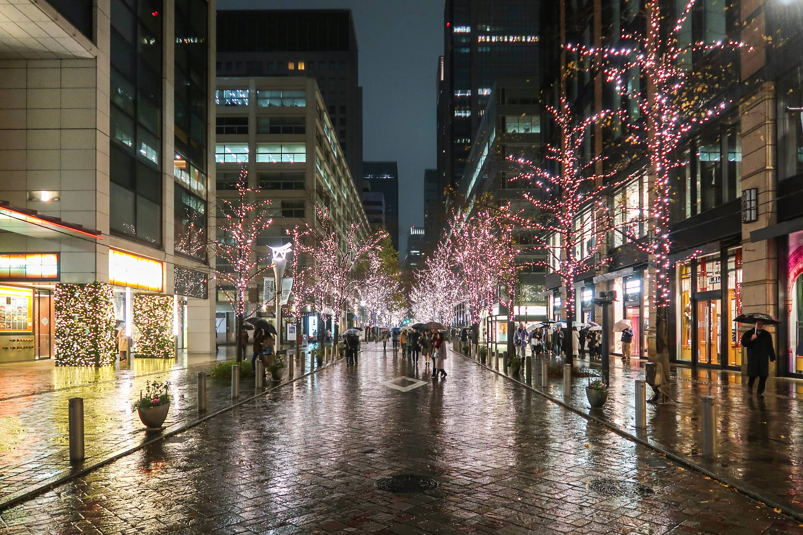 Marunouchi Naka-dori Avenue